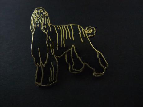 Afghaanse windhond ( waakhond) zwart ( goudkleurig )